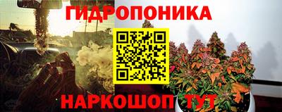 соль ск Пугачёв